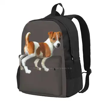 Джек-Рассел-терьер, Милый щенок, Школьные сумки, рюкзак для ноутбука, Джек-Рассел-терьеры, Джек-Рассел-терьер